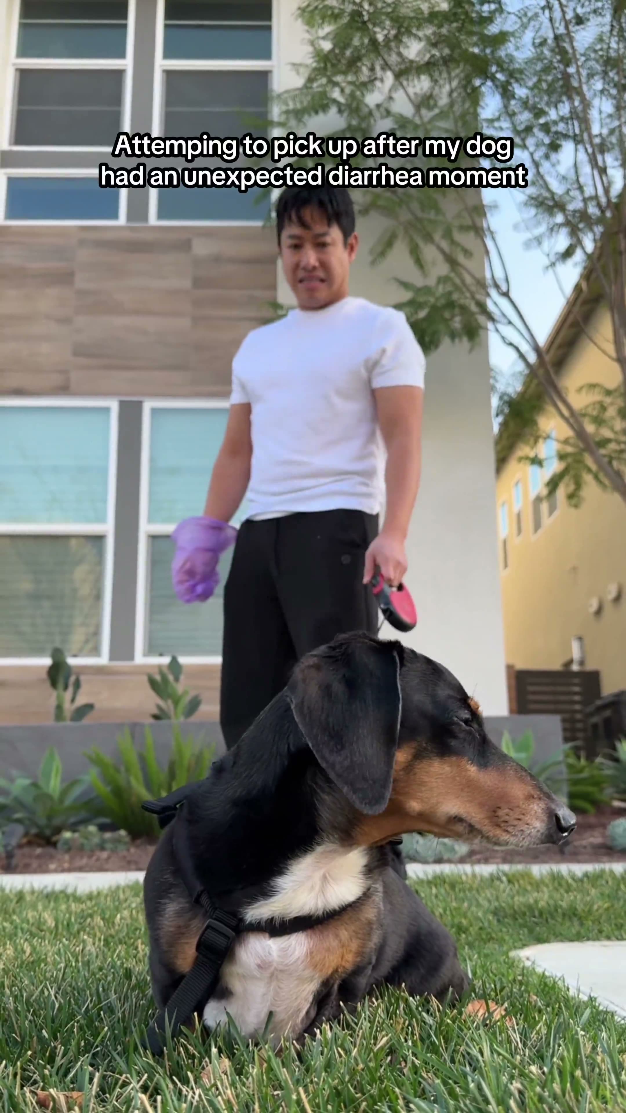 When your dog has diarrhea.mp4