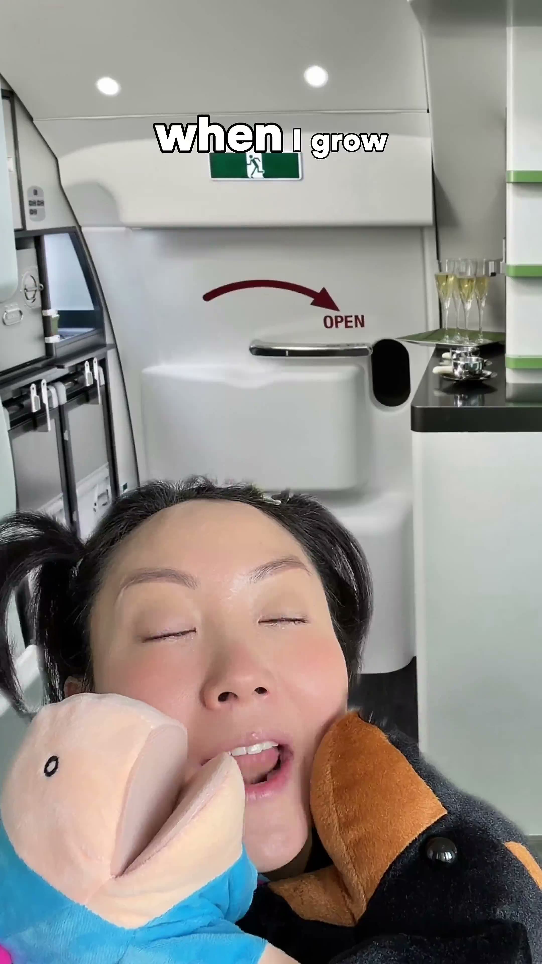 Mini Jeenie wants to be a flight attendant.mp4