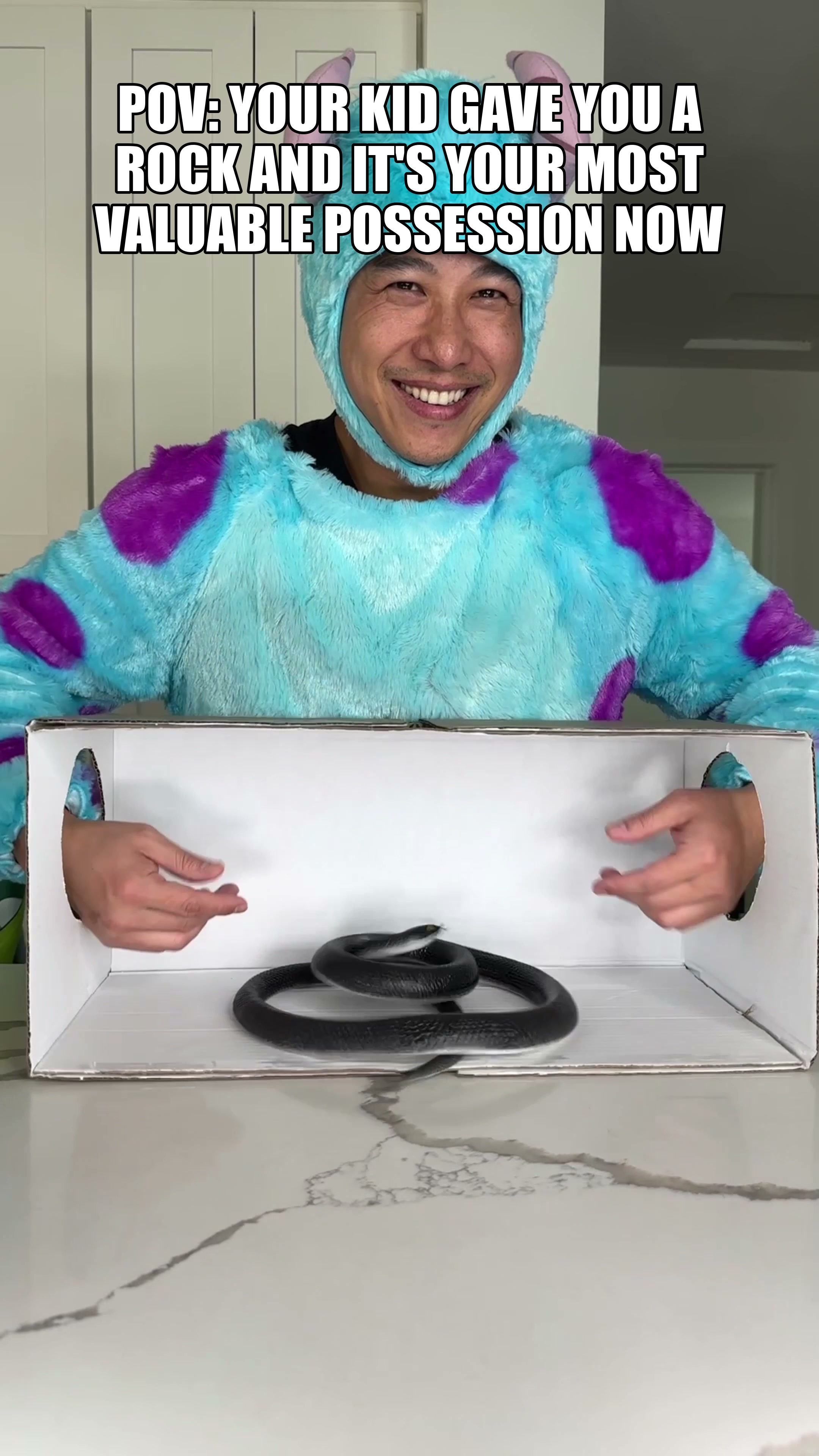 Whats In The Box — POV YOUR KID GAVE YOU A ROCK AND IT'S YOUR MOST VA.jpg