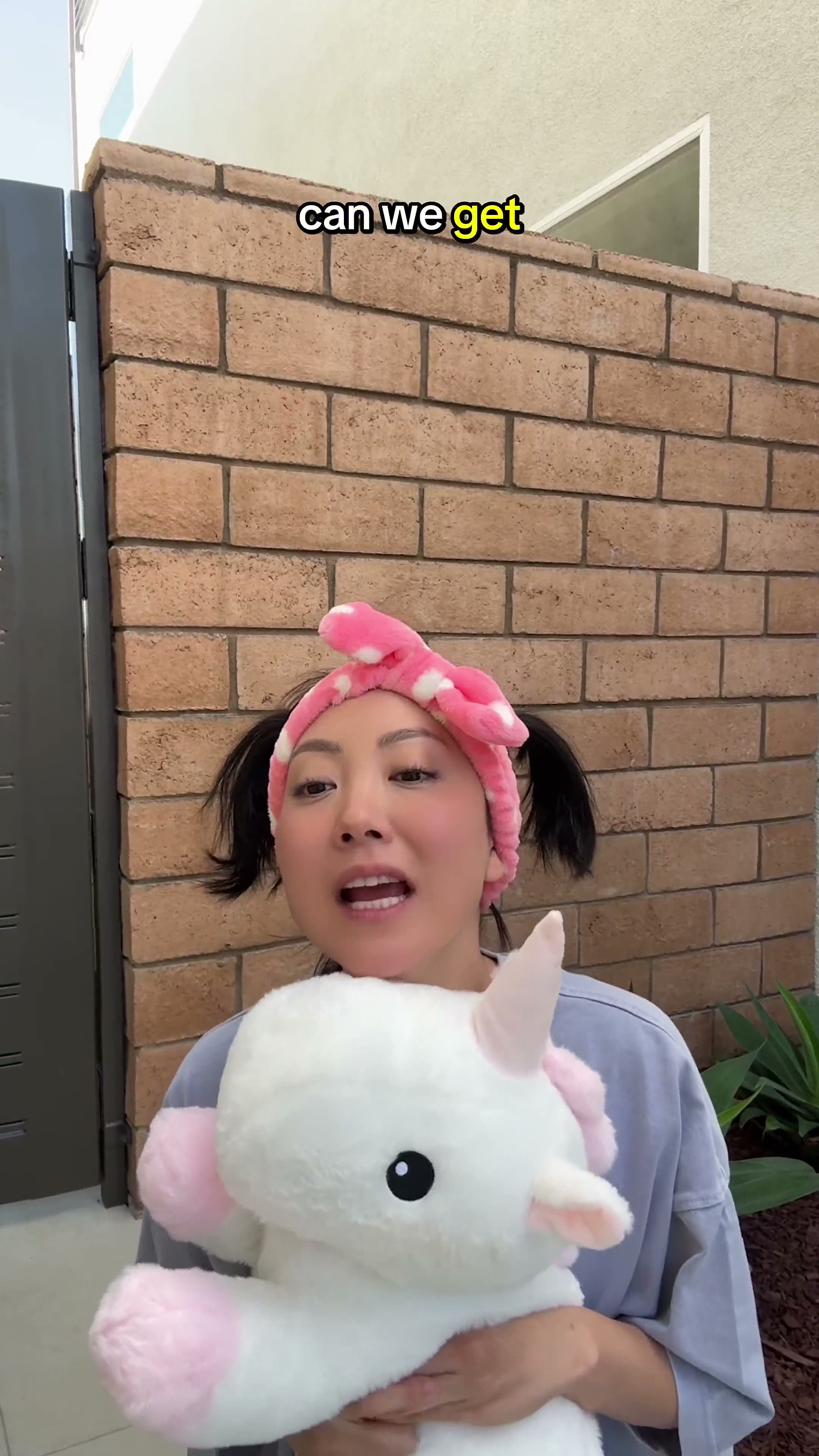 Convincing Your Korean Mom To Get A Dog In 2025.mp4